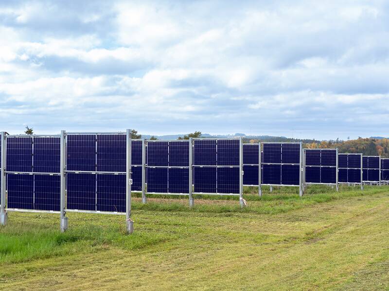 Eine Reihe von Solarpanelen steht auf einem grünen Feld unter einem bewölkten Himmel.